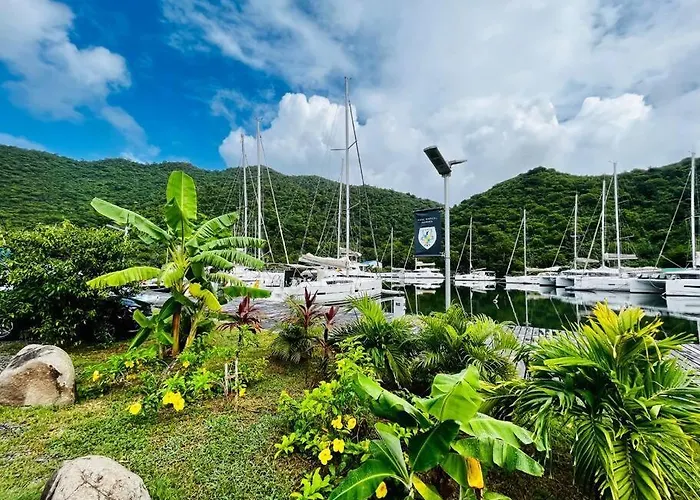 Le Palmier Bleu, Cocon Tropical, Plage & Piscine